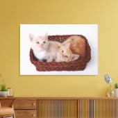 Toile Chatons dans le panier (Insitu(Salon))