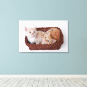 Toile Chatons dans le panier (Insitu (Plancher de Bois))