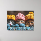 Toile chatons en casquette laineux (Recto)