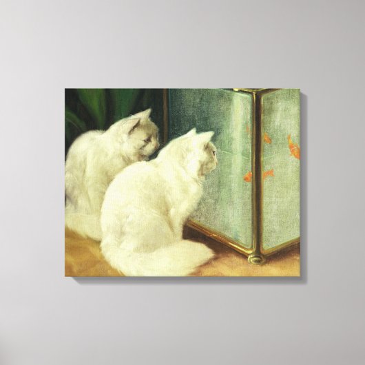 Toile Chats blancs observant le poisson rouge (Recto)