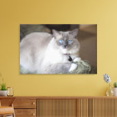 Toile Chatte Ragdoll (Insitu(Salon))