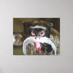 Toile Cheeky Empereur Tamarin Monkey