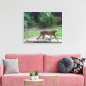 Toile Cheetah (Insitu(Salon))