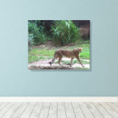 Toile Cheetah (Insitu (Plancher de Bois))