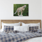 Toile Cheetah (Insitu(Chambre))