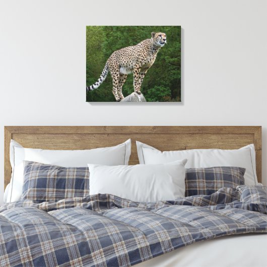 Toile Cheetah (Insitu(Chambre))
