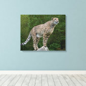 Toile Cheetah (Insitu (Plancher de Bois))