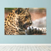 Toile Cheetah (Insitu (Plancher de Bois))