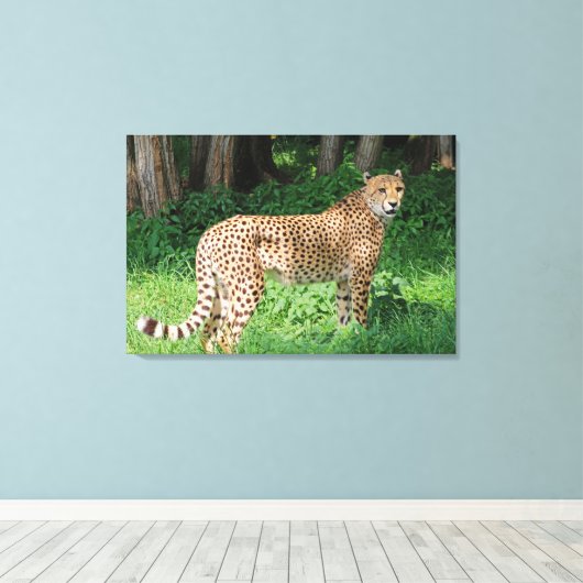 Toile Cheetah (Insitu (Plancher de Bois))