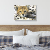 Toile Cheetah (Insitu(Chambre))
