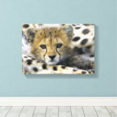 Toile Cheetah (Insitu (Plancher de Bois))