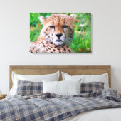 Toile Cheetah (Insitu(Chambre))