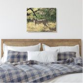 Toile Cheetah À Samburu (Insitu(Chambre))