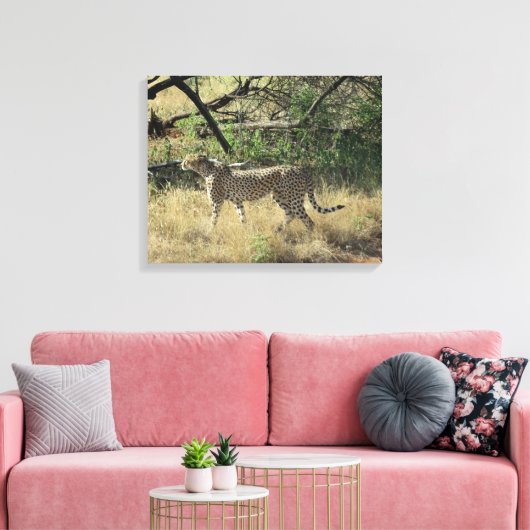 Toile Cheetah À Samburu (Insitu(Salon))