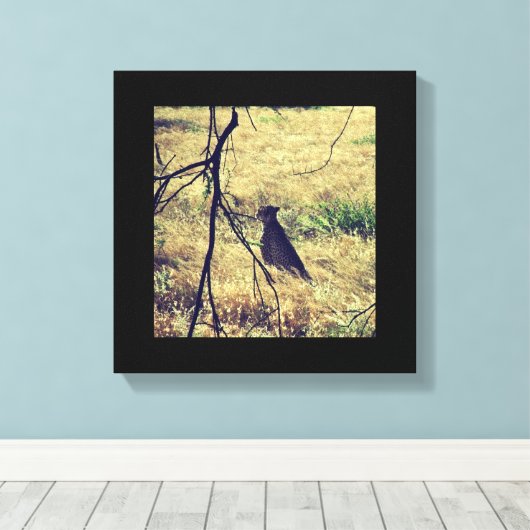 Toile Cheetah à Samburu (Insitu (Plancher de Bois))