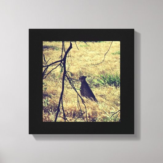 Toile Cheetah à Samburu (Recto)