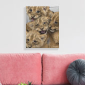 Toile Cheetah Cubs Jouer (Insitu(Salon))