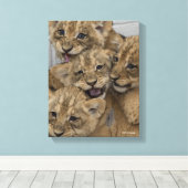 Toile Cheetah Cubs Jouer (Insitu (Plancher de Bois))