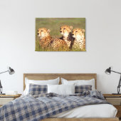 Toile Cheetah Lying (Insitu(Chambre))