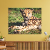 Toile Cheetah relaxant (Insitu(Salon))