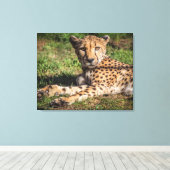 Toile Cheetah relaxant (Insitu (Plancher de Bois))