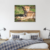 Toile Cheetah relaxant (Insitu(Chambre))