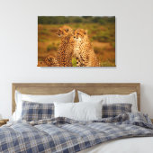 Toile Cheetahs (Insitu(Chambre))
