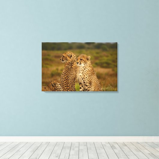 Toile Cheetahs (Insitu (Plancher de Bois))