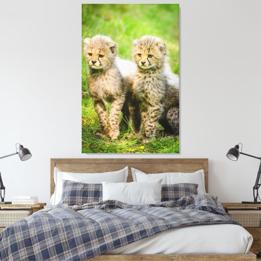 Toile Cheetahs (Insitu(Chambre))