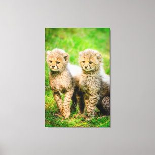 Toile Cheetahs