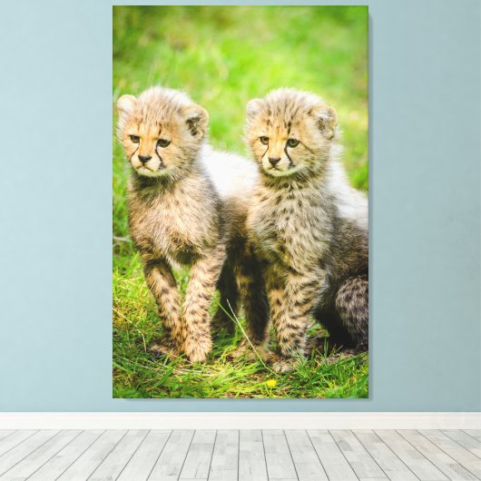 Toile Cheetahs (Insitu (Plancher de Bois))