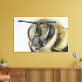 Toile Chef d'abeille (Insitu(Salon))