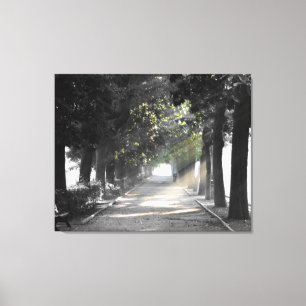 Toile Chemin du jardin