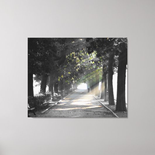 Toile Chemin du jardin (Recto)