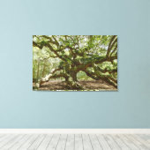 Toile Chêne d'ange puissant (Insitu (Plancher de Bois))