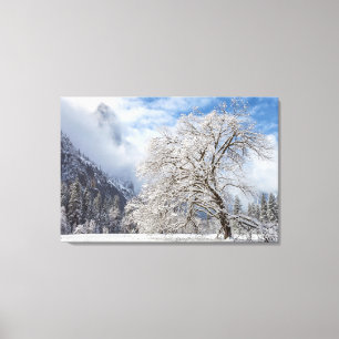 Toile Chêne neigeux