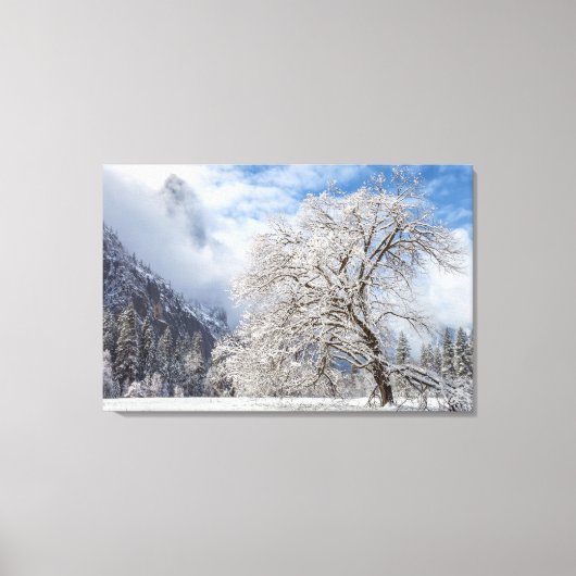 Toile Chêne neigeux (Recto)