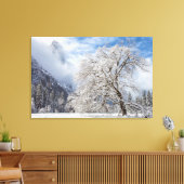 Toile Chêne neigeux (Insitu(Salon))