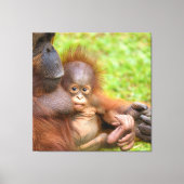 Toile Chérie Mère Orangoutan (Recto)