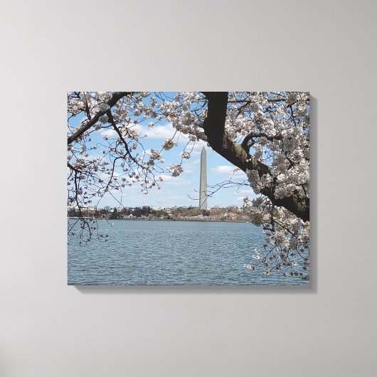 Toile CHERRY BLOSSOMS #1 SUR CANVAS 20 "x 16" (Recto)