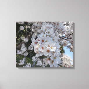 Toile CHERRY BLOSSOMS #2 SUR CANVAS 20 "x 16"