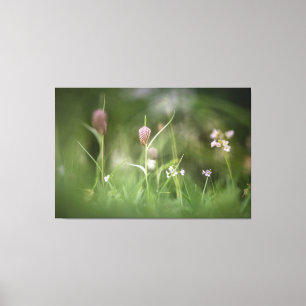 Toile Chess Flower Nature Photo