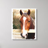 TOILE CHESTNUT CHEVAL (Recto)