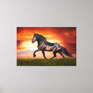 Toile Cheval