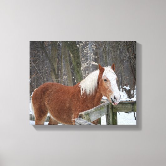 Toile Cheval à baguette dans la neige (Recto)