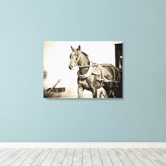 Toile Cheval Amish et Buggy à Sepia (Insitu (Plancher de Bois))