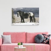 Toile Cheval Appaloosa dans la neige (Insitu(Salon))