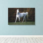 Toile Cheval arabe 1 (Insitu (Plancher de Bois))