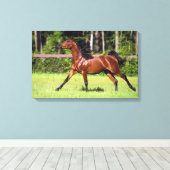 Toile Cheval arabe 2 (Insitu (Plancher de Bois))