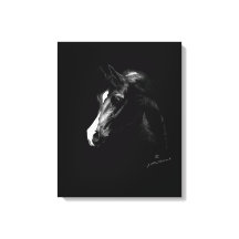 Cheval arabe classique noir (option plus petite)